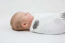 Amazing Baby Muslin Swaddle Blankets, Set of 4, Premium Cotton, Paradise, Pastel SeaCrystal
